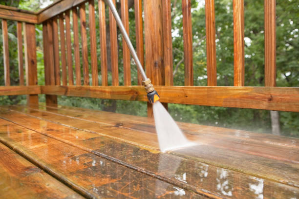 Boat and Dock Cleaning in St Leo, FL